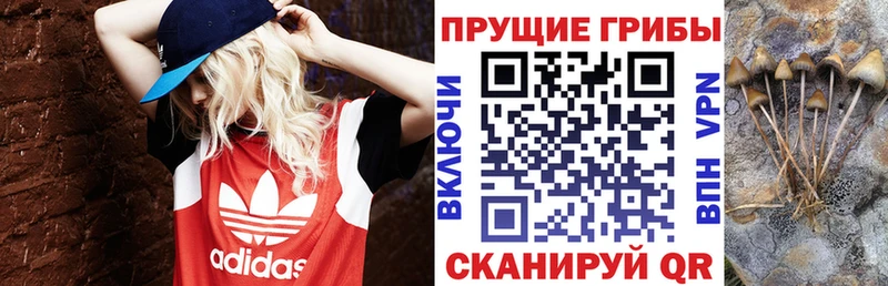 это официальный сайт Туран Псилоцибиновые грибы GOLDEN TEACHER
