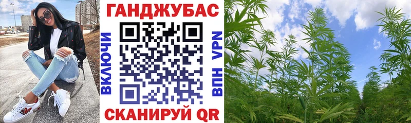 купить  цена  это какой сайт  Бошки марихуана конопля  Туран 